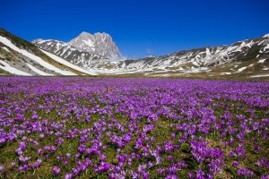 Altopiano di Campo Imperatore nei pressi del Gran Sasso.